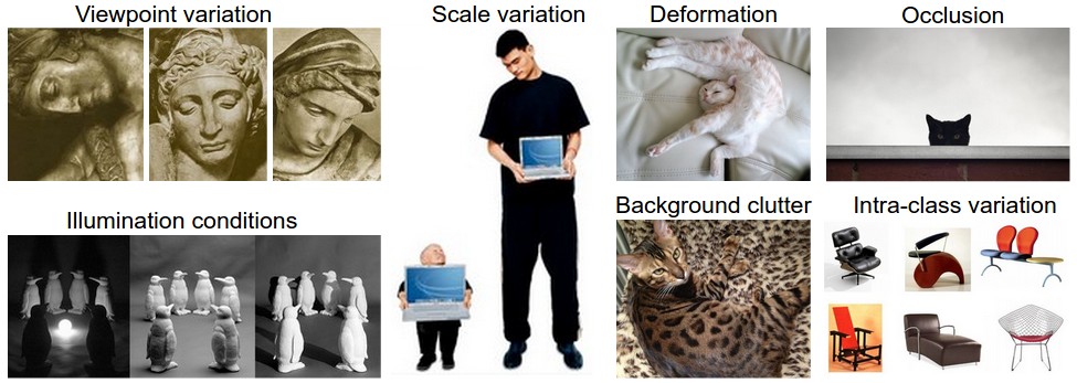 Viewpoint variation, scale variation, deformation, occlusion, illumination conditions, background clutter and intra-class variation